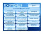 Exotonus K1
