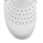 SLE-115A