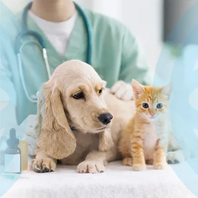 Ветеринария